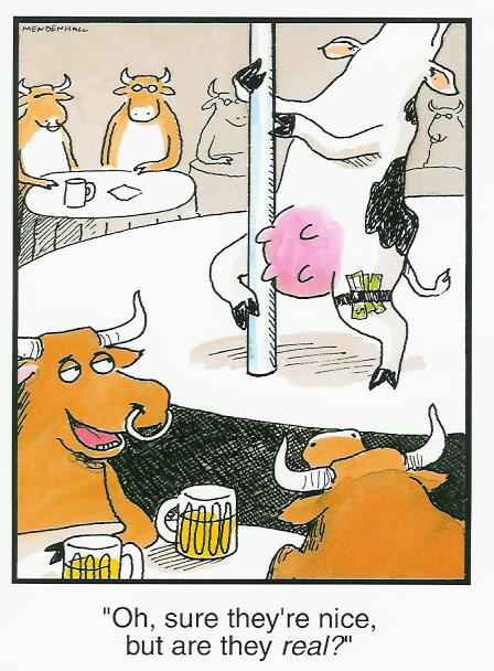 Adam%27sBirthdayCardCowUdders.jpg