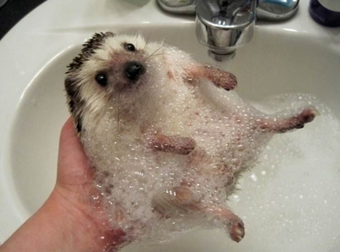 AW MOM! I DON'T NEED A BATH!
